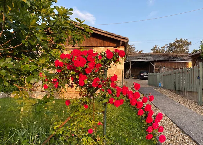 De Source * Chatenet (Charente-Maritime)